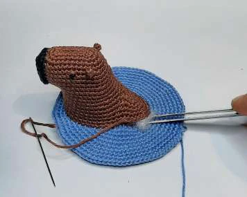 Capybara in Bath visual from source page 11