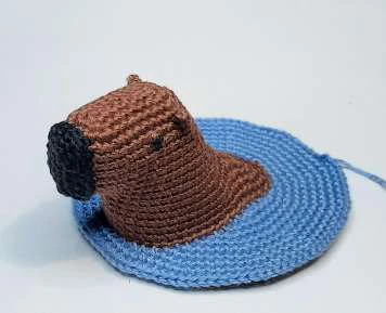 Capybara in Bath visual from source page 11