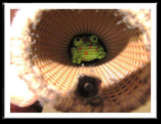 Frog Play Set visual from source page 20