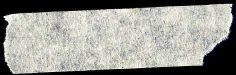 Whale visual from source page 1