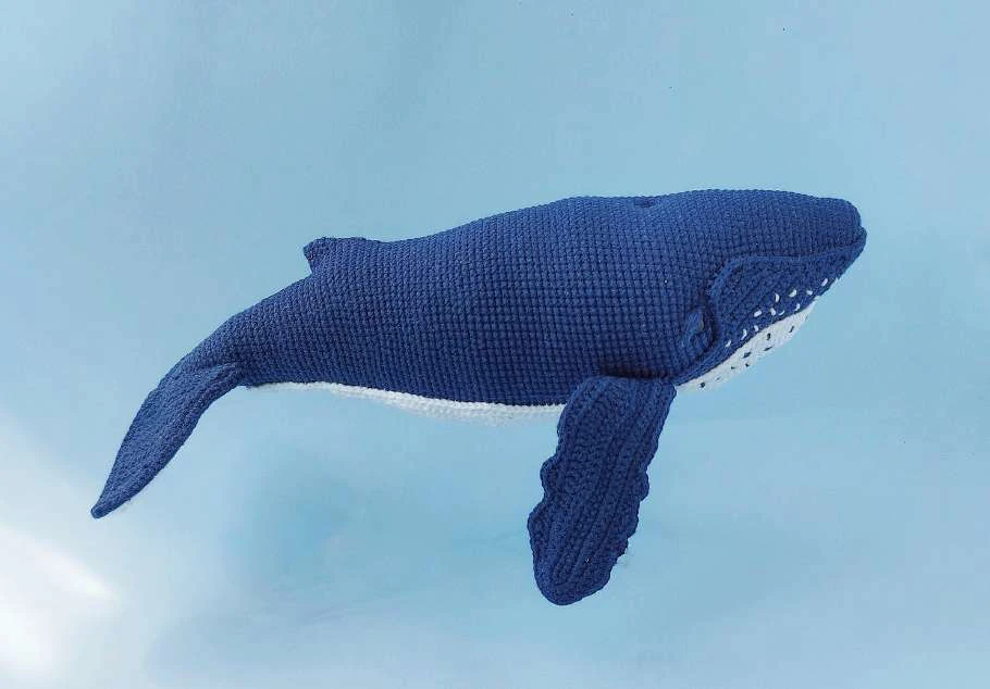 Whale visual from source page 1