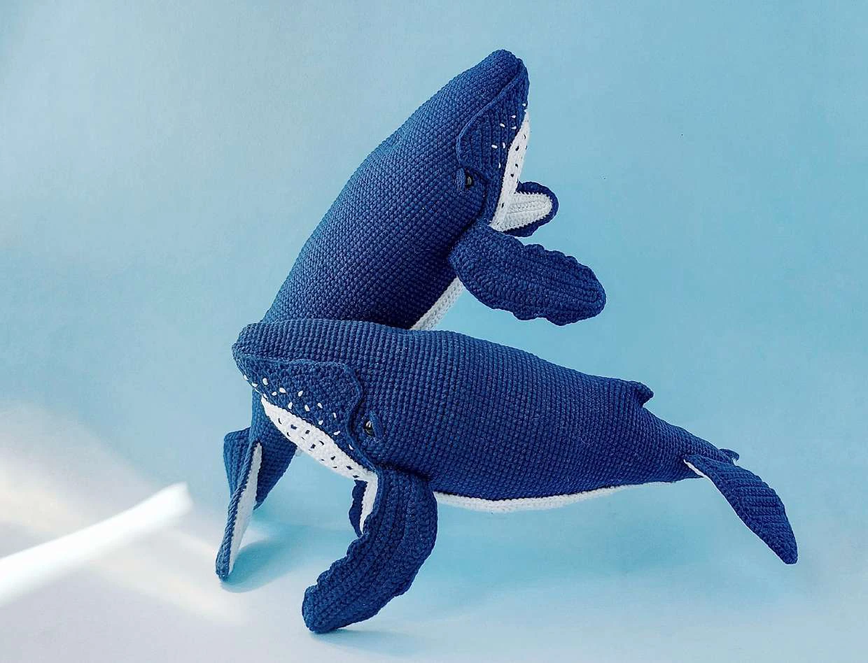 Whale visual from source page 2