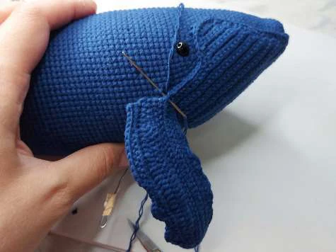 Whale visual from source page 34