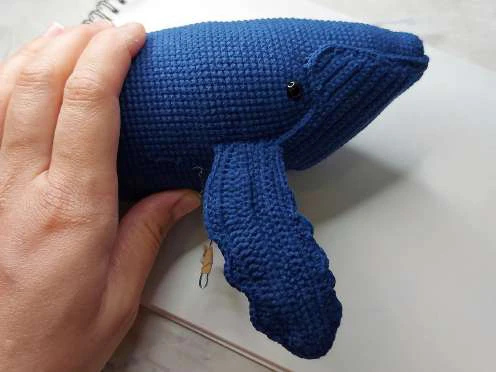 Whale visual from source page 34