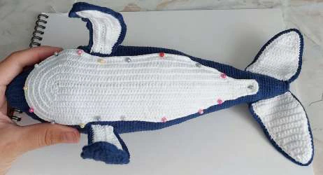 Whale visual from source page 35