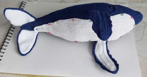 Whale visual from source page 35