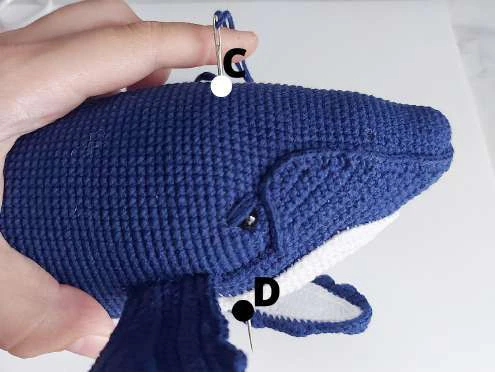 Whale visual from source page 36
