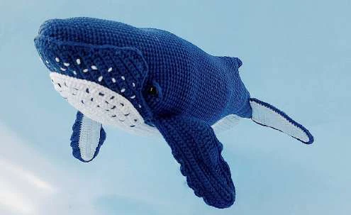Whale visual from source page 37