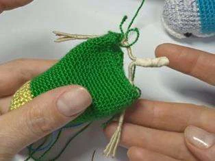 Budgerigar bird visual from source page 10