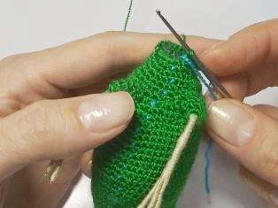 Budgerigar bird visual from source page 10