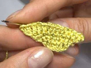 Budgerigar bird visual from source page 11