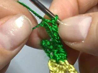 Budgerigar bird visual from source page 13