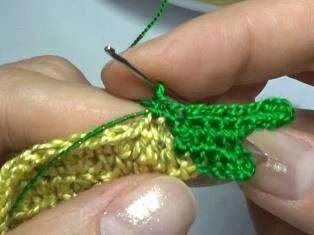 Budgerigar bird visual from source page 13