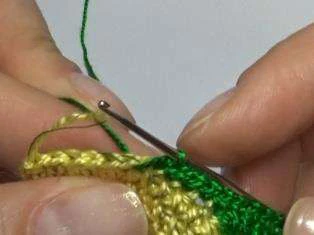 Budgerigar bird visual from source page 14