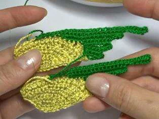 Budgerigar bird visual from source page 14