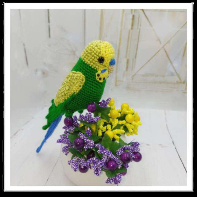 Budgerigar bird visual from source page 17