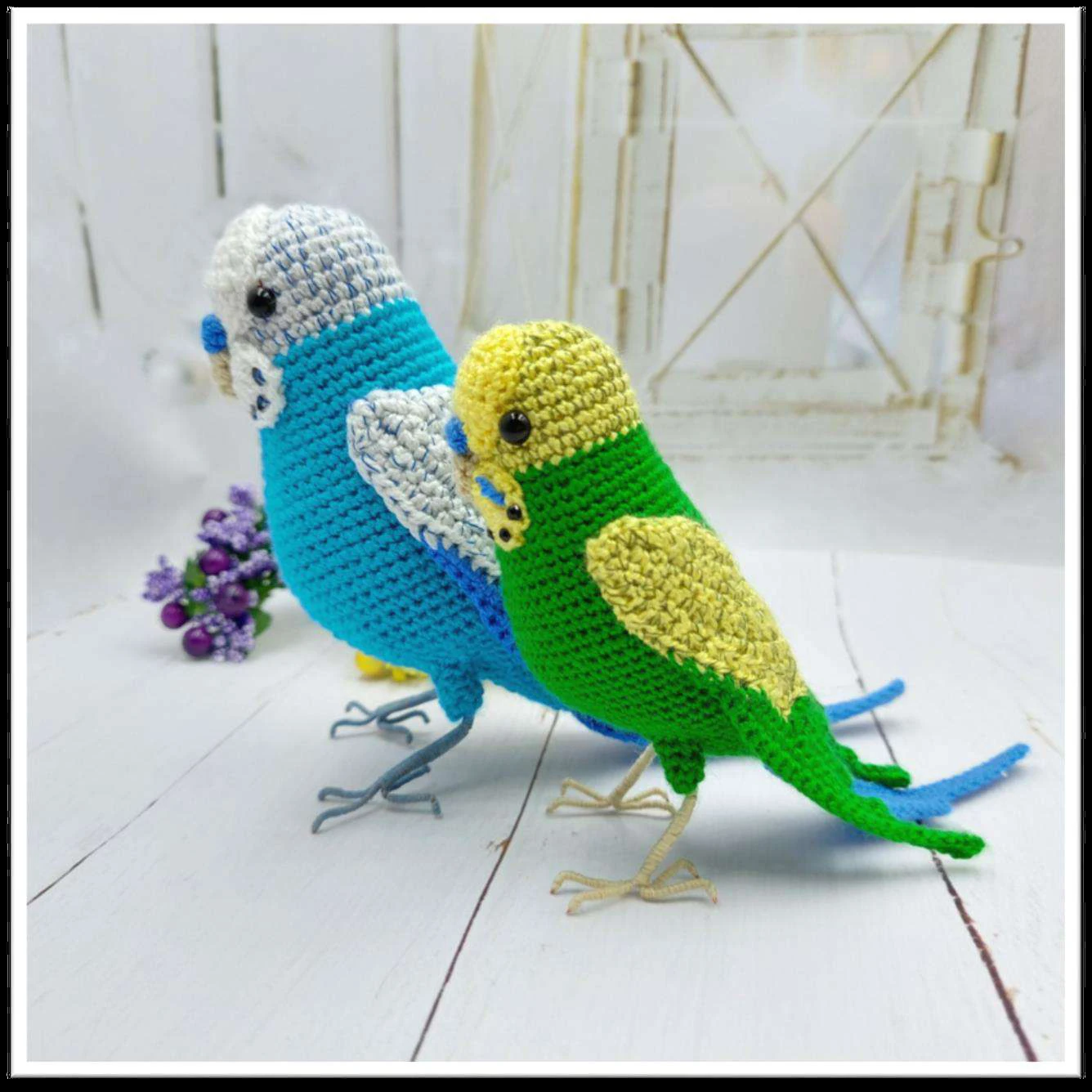 Budgerigar bird visual from source page 20