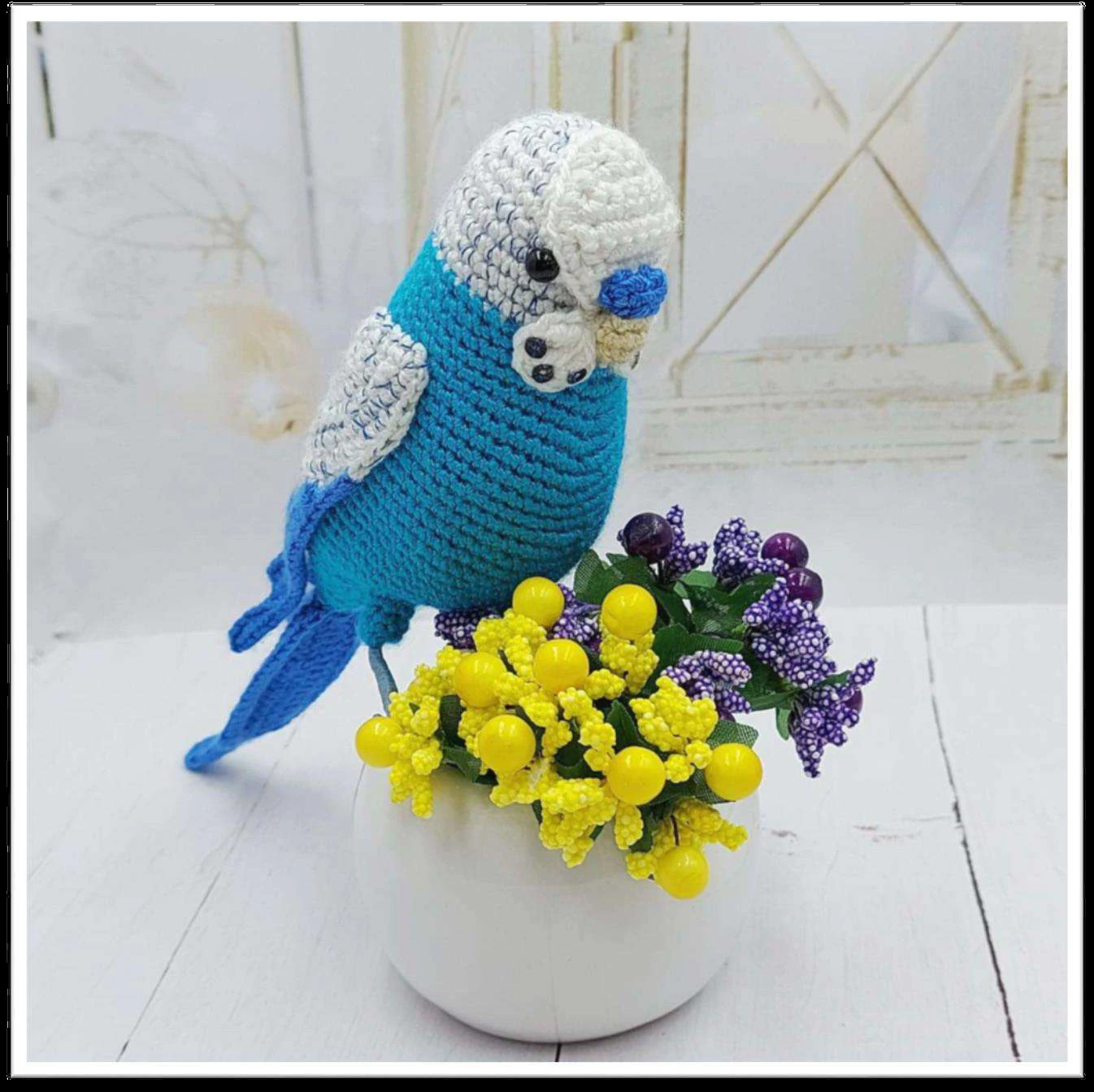 Budgerigar bird