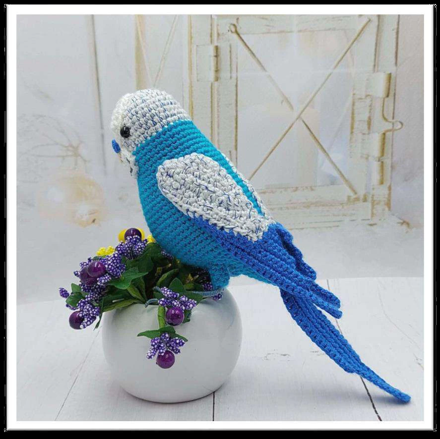 Budgerigar bird visual from source page 3
