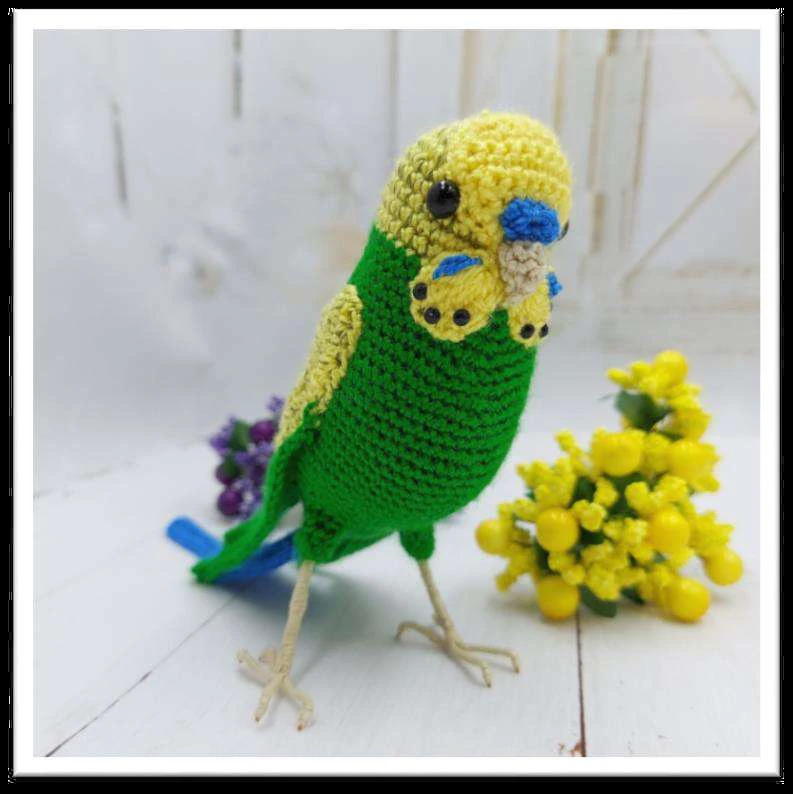 Budgerigar bird visual from source page 4