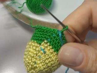 Budgerigar bird visual from source page 8
