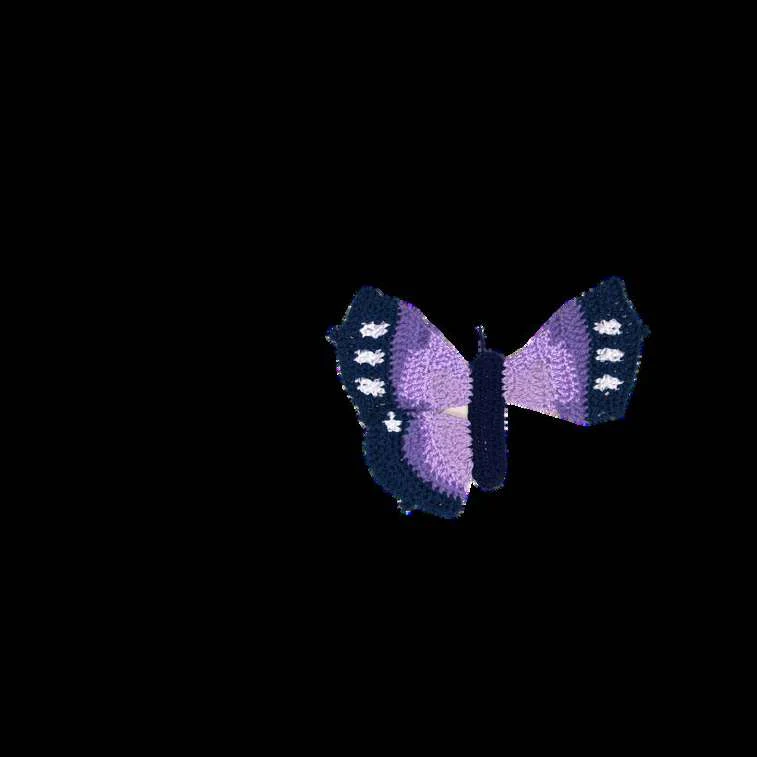 Butterfly Bag visual from source page 9