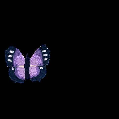 Butterfly Bag visual from source page 11