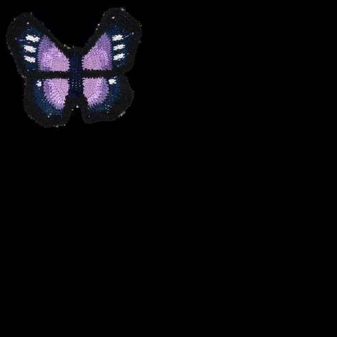 Butterfly Bag visual from source page 13
