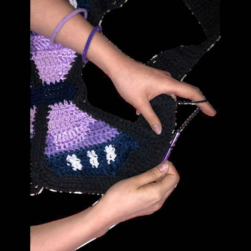 Butterfly Bag visual from source page 16