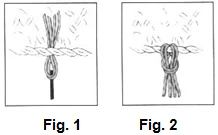 Carol Ballard visual from source page 5