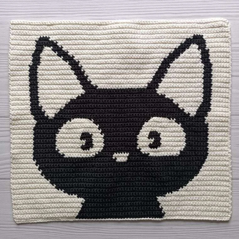 Cat black bag visual from source page 18