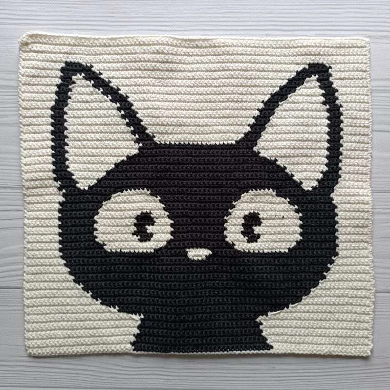 Cat black bag visual from source page 18
