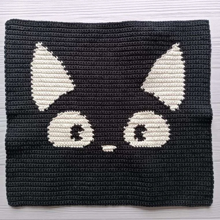 Cat black bag visual from source page 28