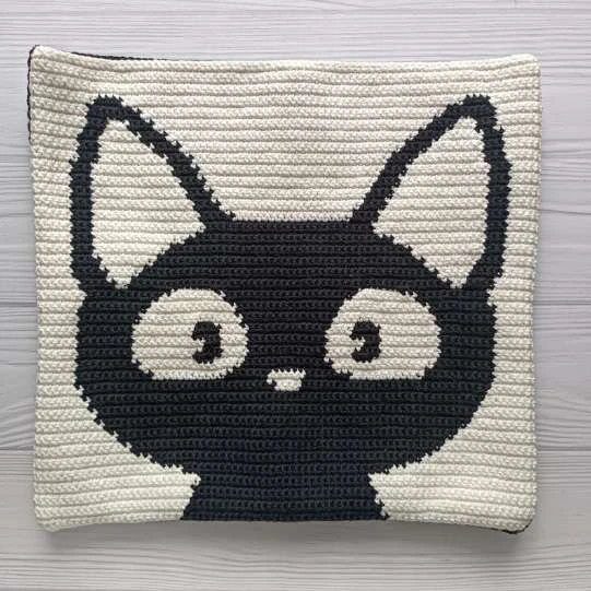 Cat black bag visual from source page 30