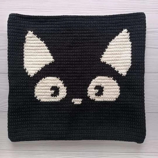 Cat black bag visual from source page 30