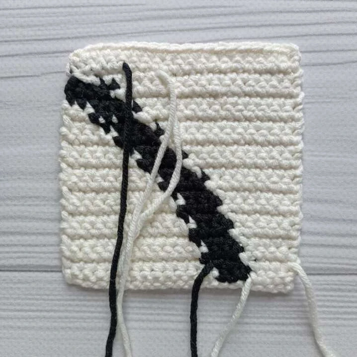 Cat black bag visual from source page 8