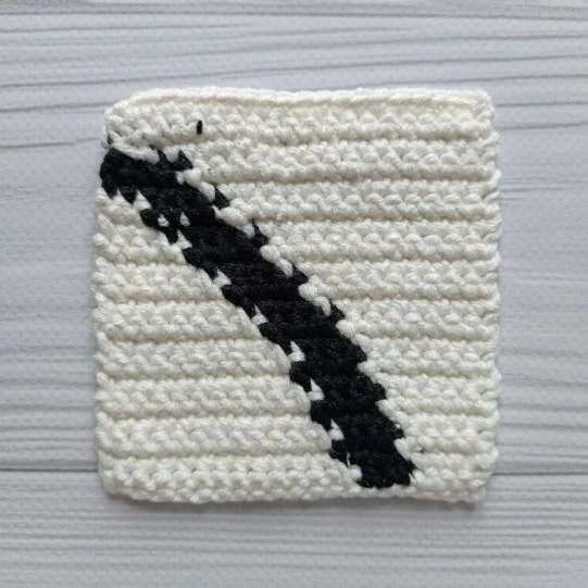 Cat black bag visual from source page 8