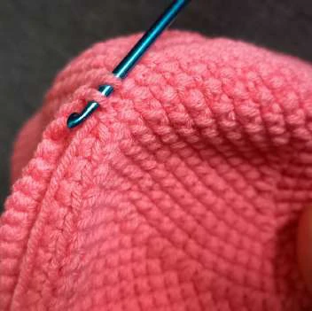 Dinosaur Triceratops visual from source page 11