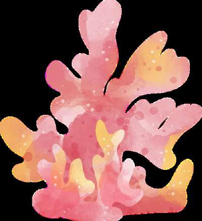 Nemo Clown Fish visual from source page 1