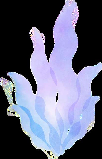 Nemo Clown Fish visual from source page 2