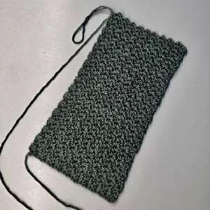 Phone bag 3 visual from source page 3