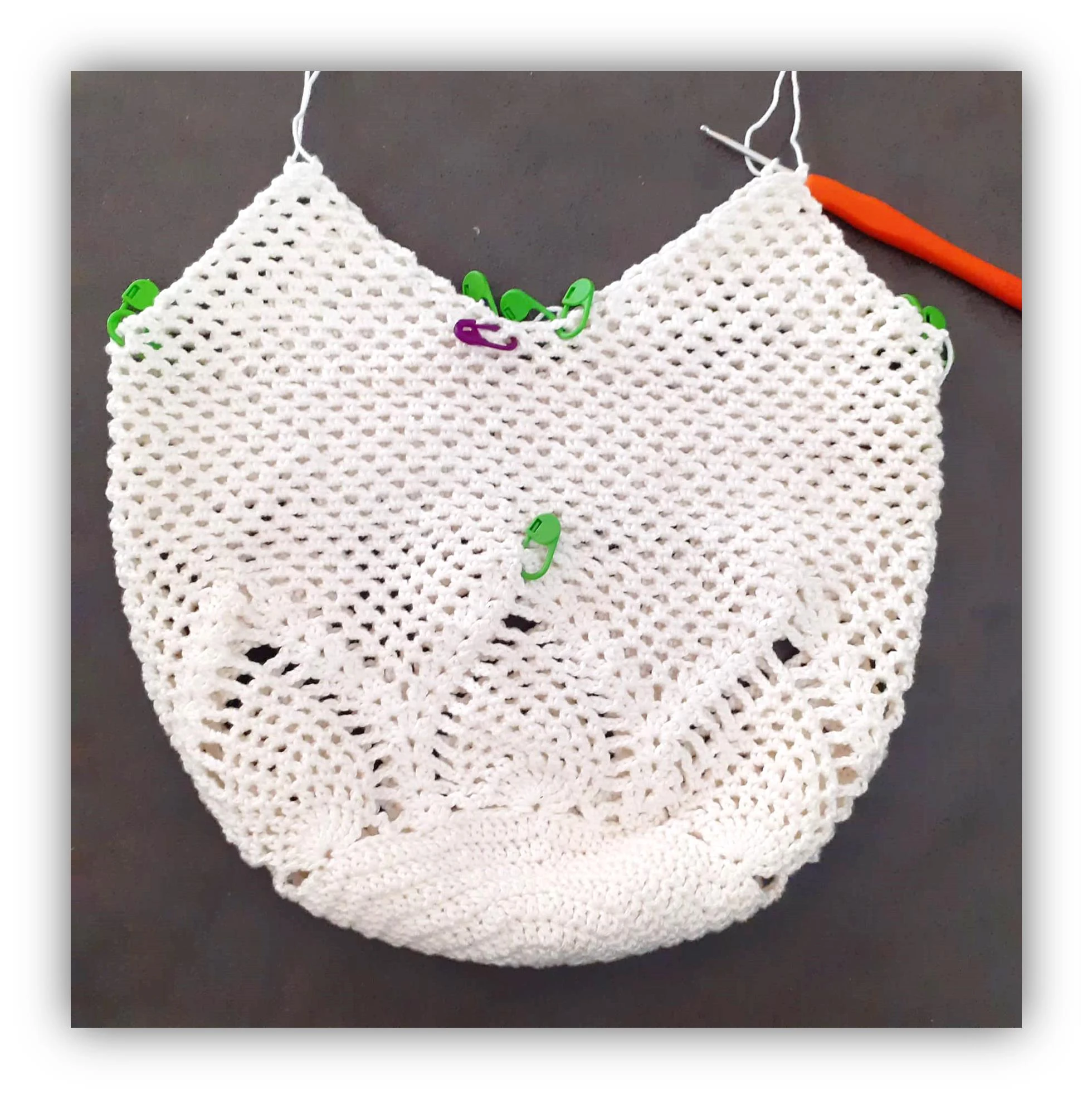 Pineapple Bag visual from source page 7