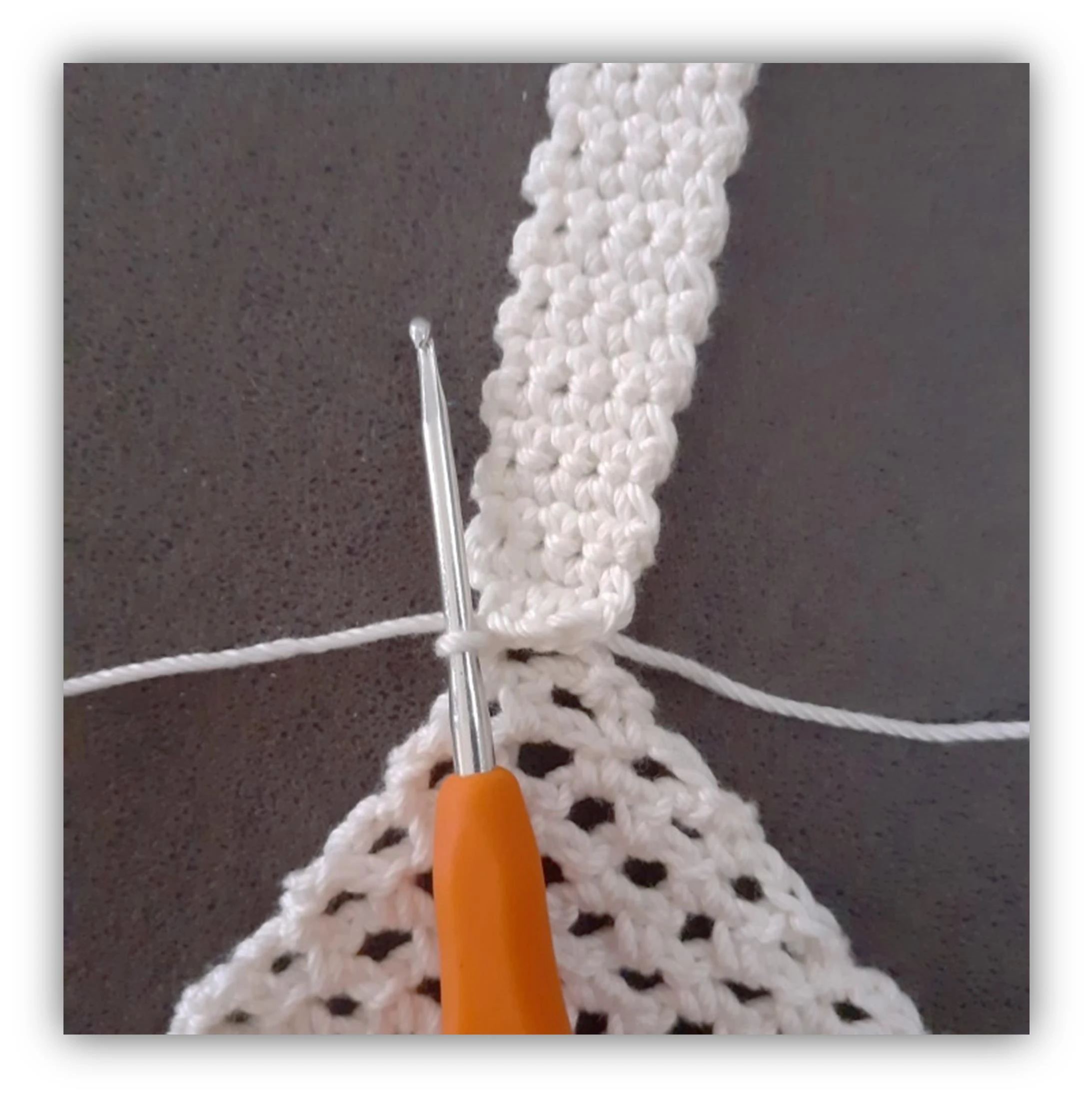 Pineapple Bag visual from source page 8