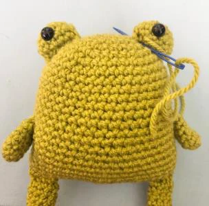 Pride Frog visual from source page 2