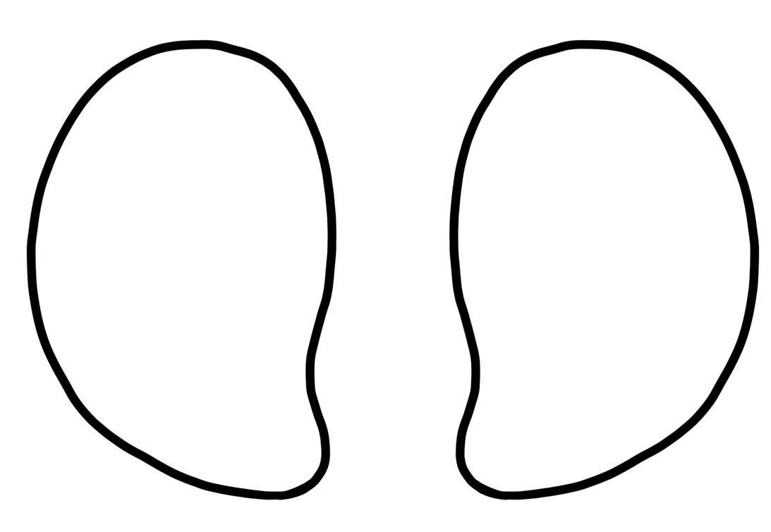 Sloth giant visual from source page 6