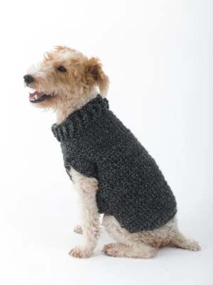 The Poet Dog Sweater visual from source page 1