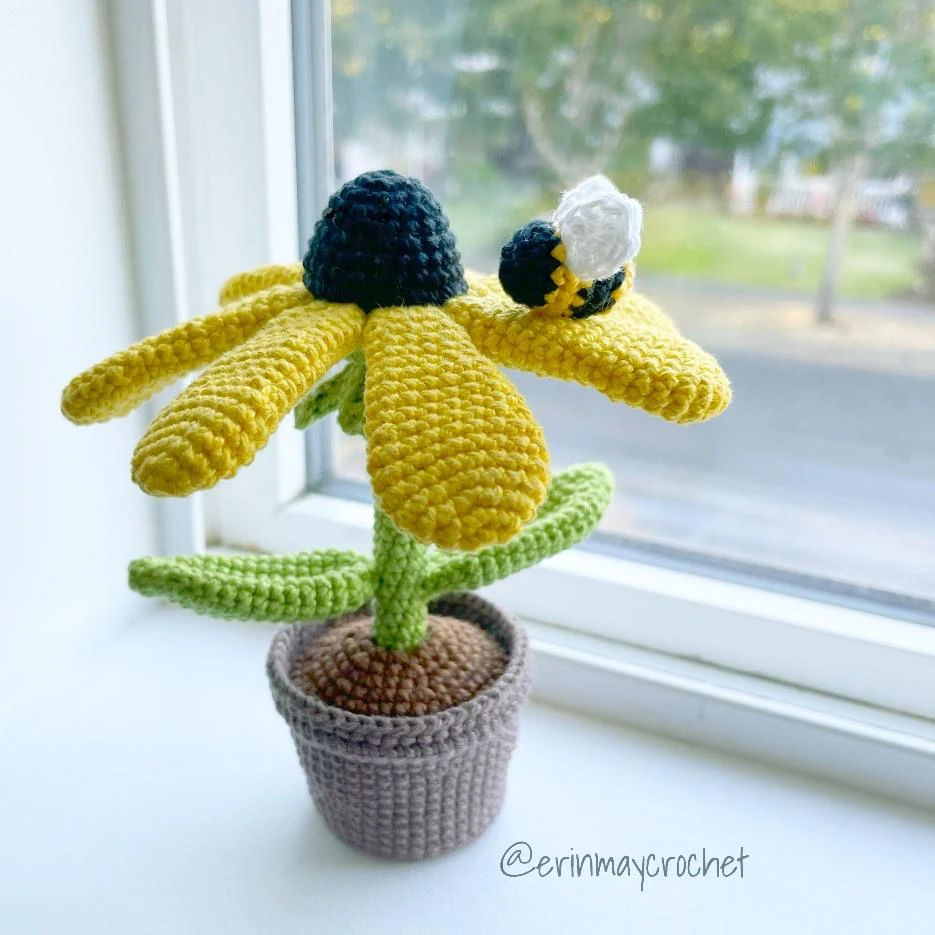 Black Eyed Susan visual from source page 14