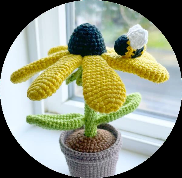 Black Eyed Susan visual from source page 2