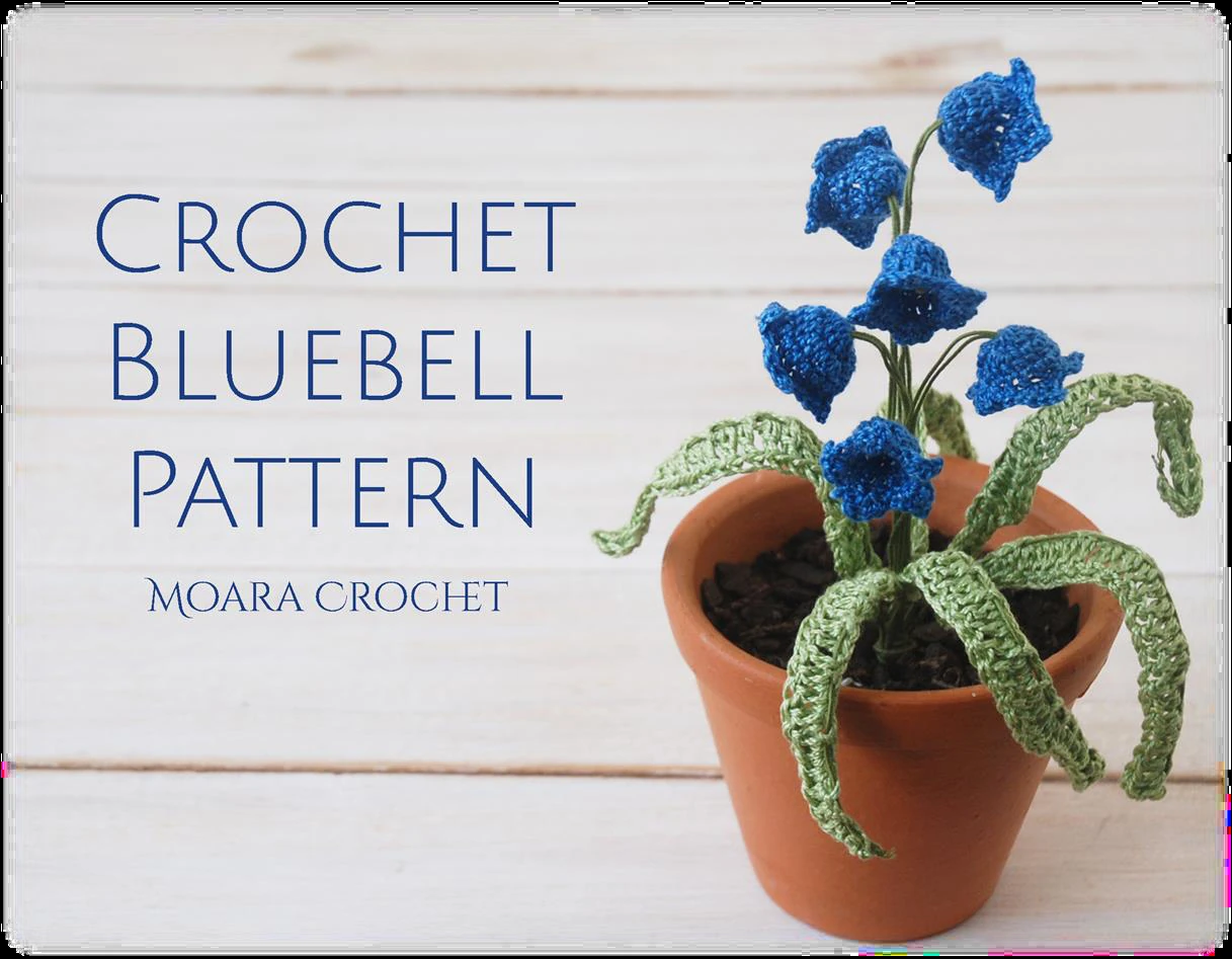 Bluebell Flowers visual from source page 2