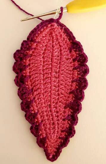 Coleus Plant visual from source page 11
